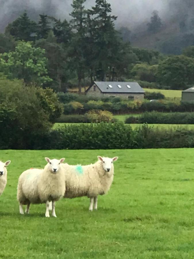 Chic Cottage Near Elan Valley And Builth Wells Llanwrthwl Екстериор снимка
